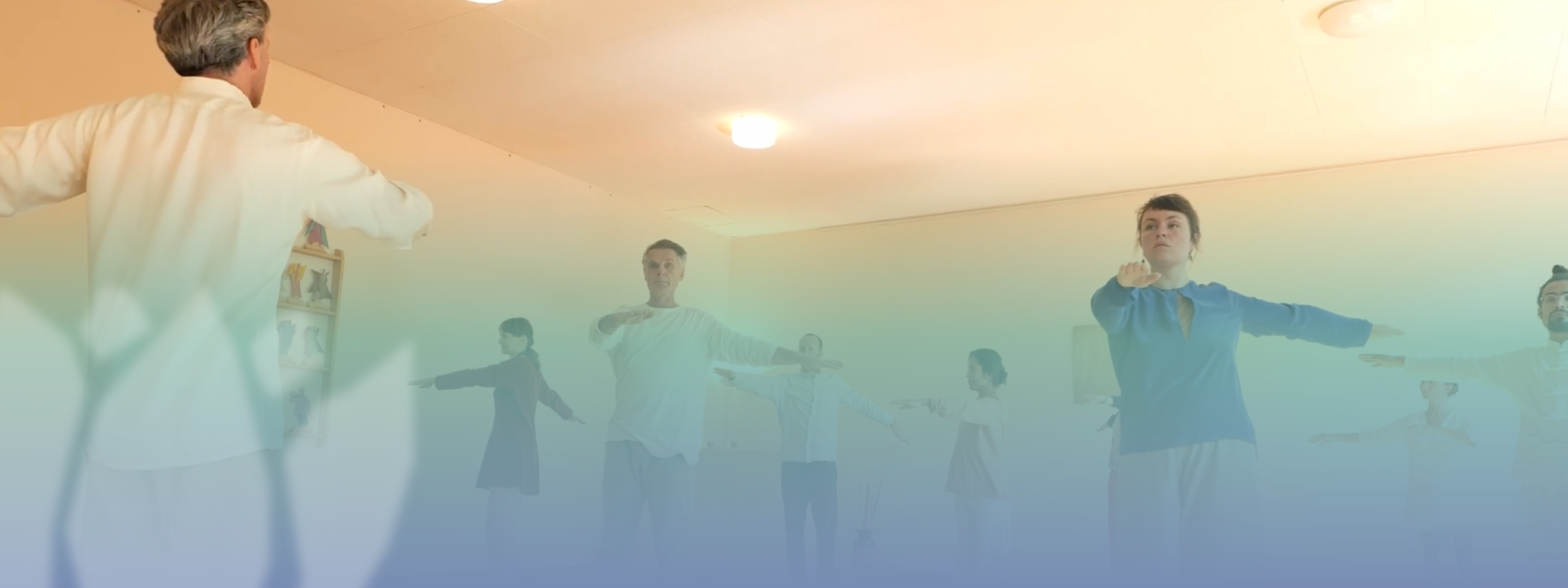 BANNER-EURITMIA